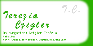 terezia czigler business card